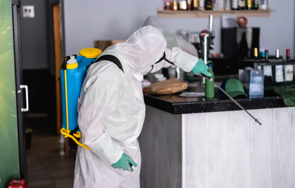 Kadıköy böcek ilaçlama ekibi